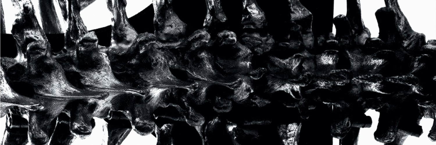 𝖧𝖸𝖴𝖪 banner