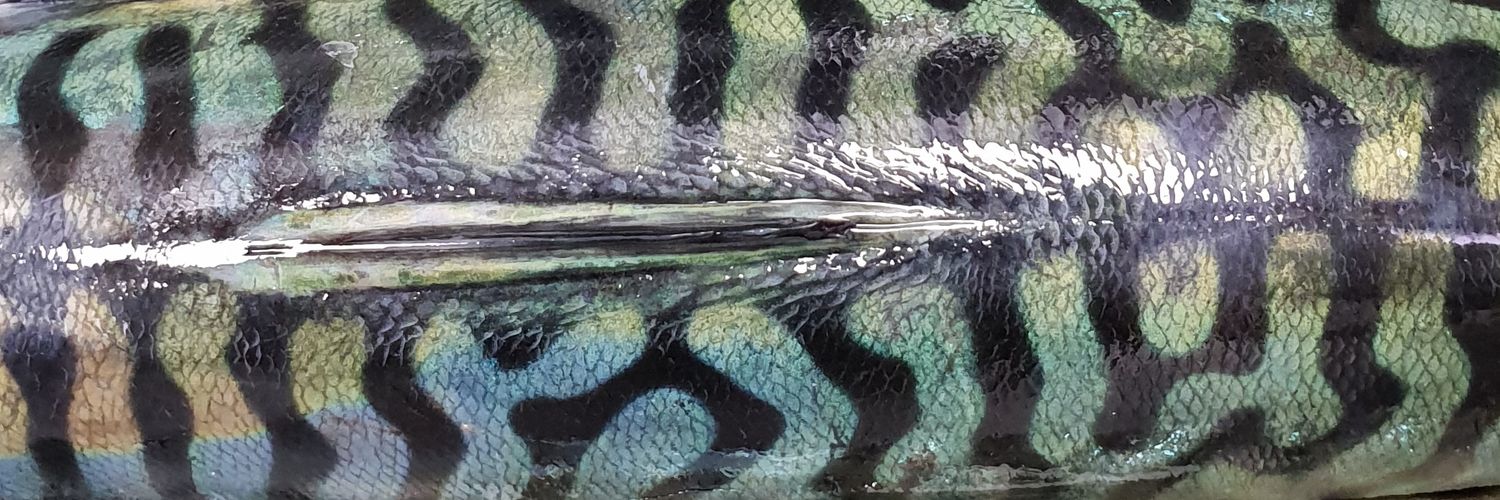 Gregory Wellman banner