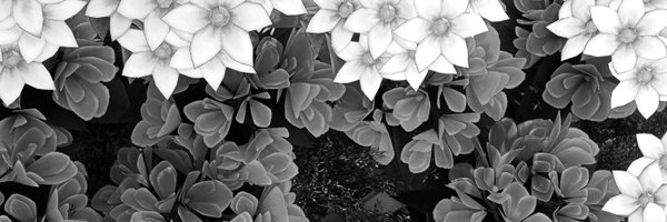 IsereXIV Profile Banner