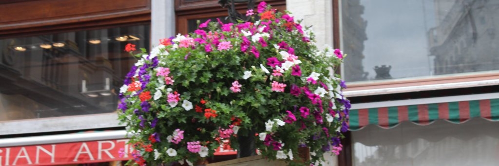 Srinivas Kolapalli banner