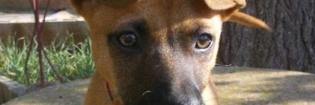 didaz's profile banner image