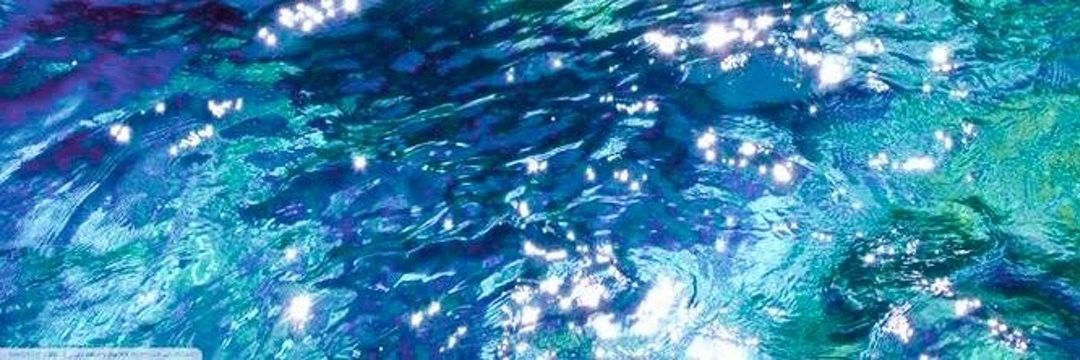 Finntastic_fish's profile banner image