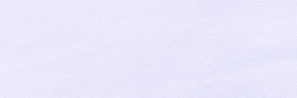 loz banner