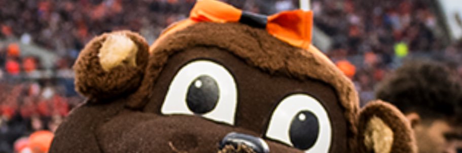 beaver Believer banner