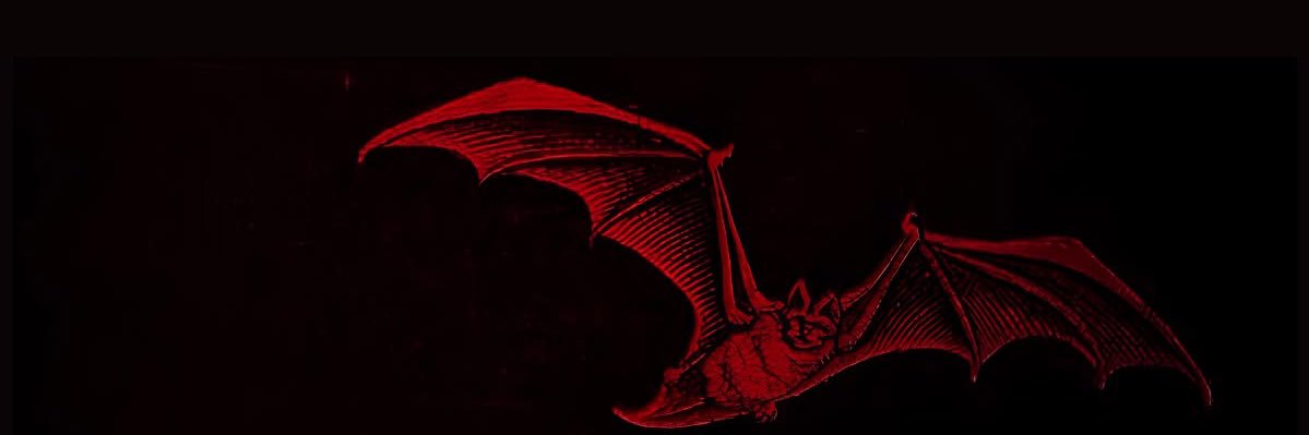 Anakin banner