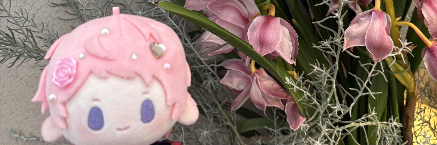 あいの banner