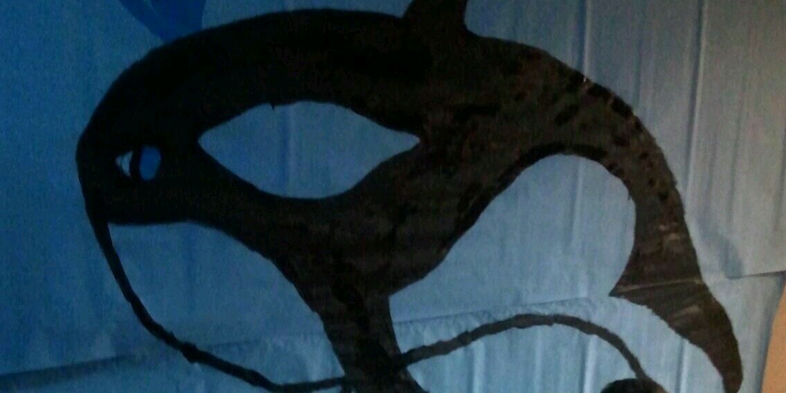 andyfly23's profile banner image