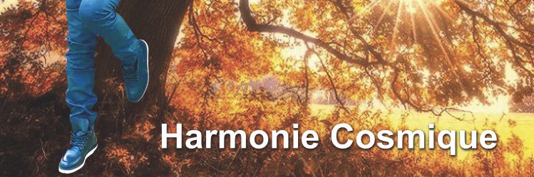 fhemannn's profile banner image