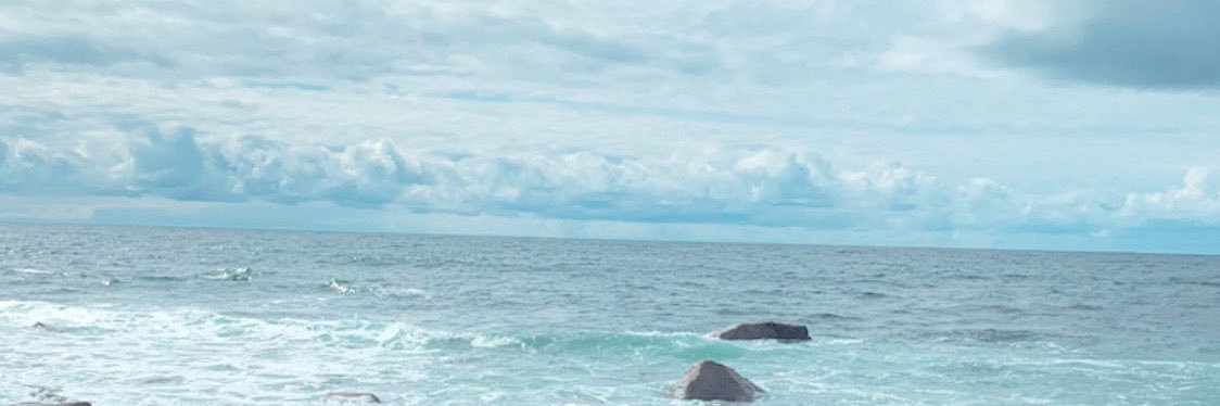 Alannah_McB's profile banner image