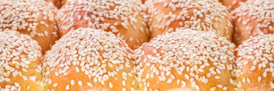 Sesame Bun (comms open) banner