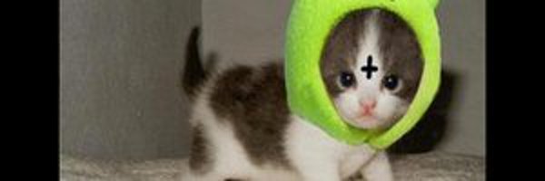 kkoaall Profile Banner