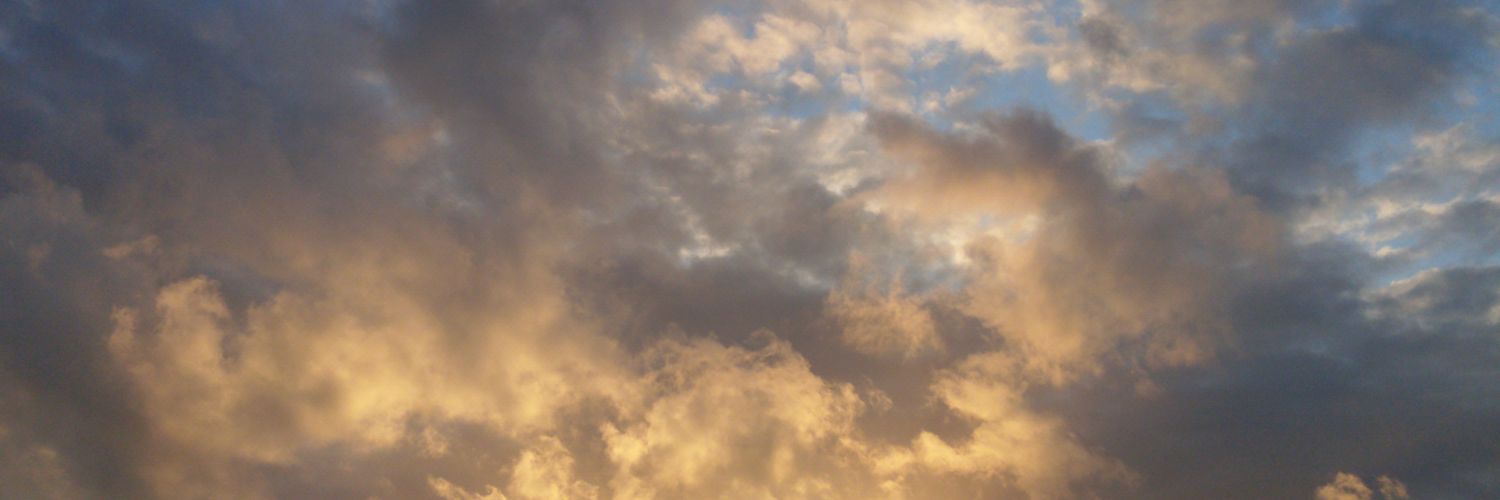 Kellifae's profile banner image
