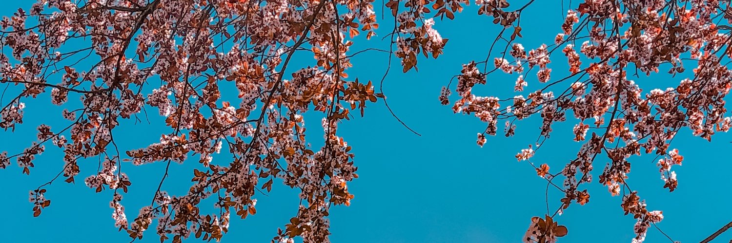 JohnOuel_'s profile banner image