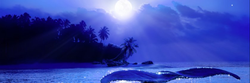 Rmonky2025's profile banner image