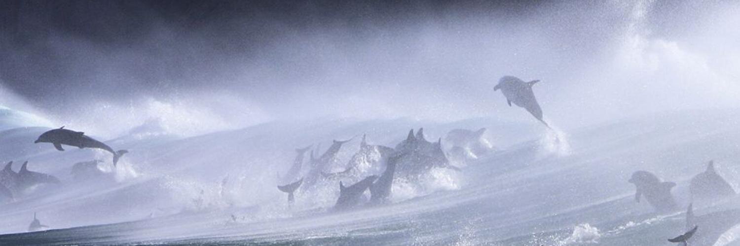 dolphtrilogy's profile banner image