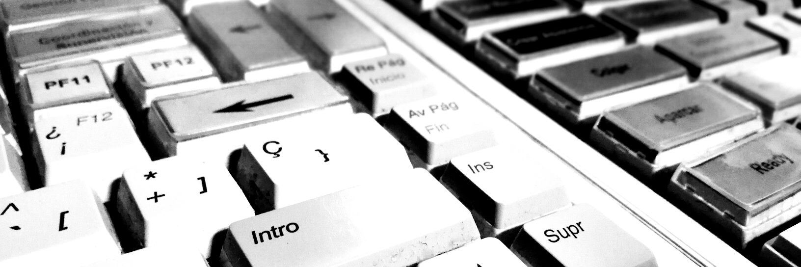 𝙴𝚕𝚙𝚊𝚢𝚒𝚝𝚘 banner