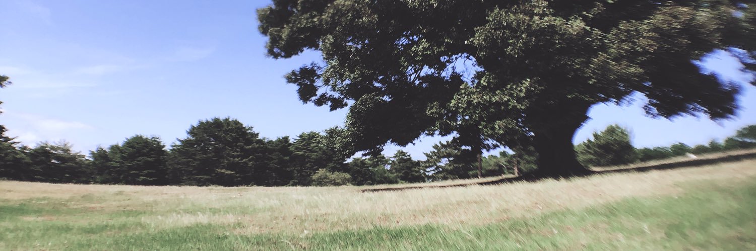 19991017S's profile banner image