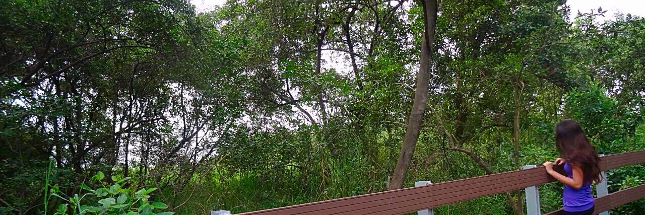 maclo888's profile banner image