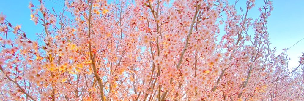 franterukaze's profile banner image