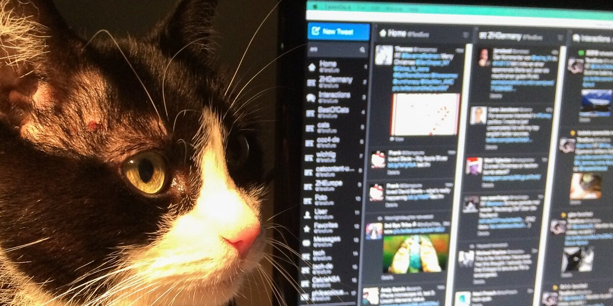 Hugo Coolpaws banner