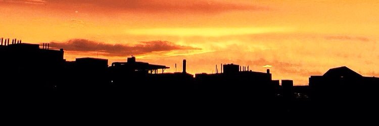 Shav (she/her) banner