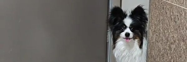 getset_go5 Profile Banner