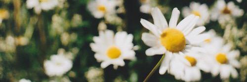 ゆ banner
