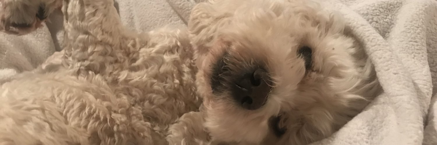 eerrrrrr's profile banner image