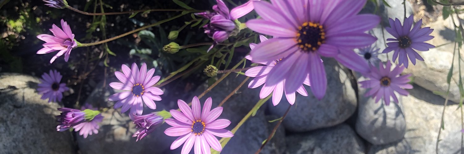 ashleydkasper's profile banner image