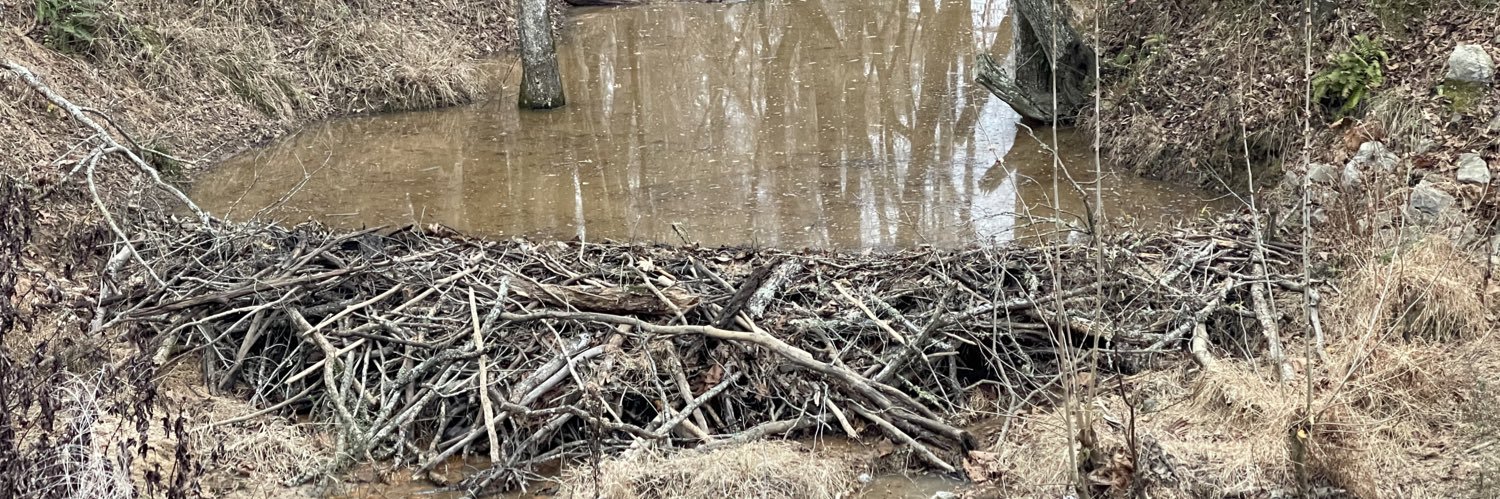 Tallahatchie Brand banner