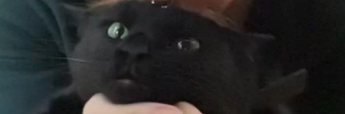SirCabra's profile banner image