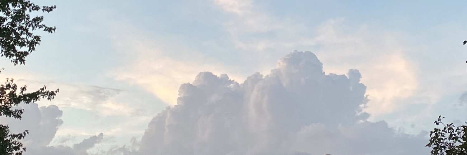 NOT A ROSE GIRL banner