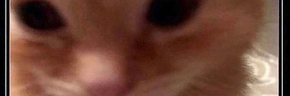 ThisIsCYANCAT banner