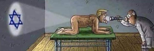 baseddbrunette Profile Banner