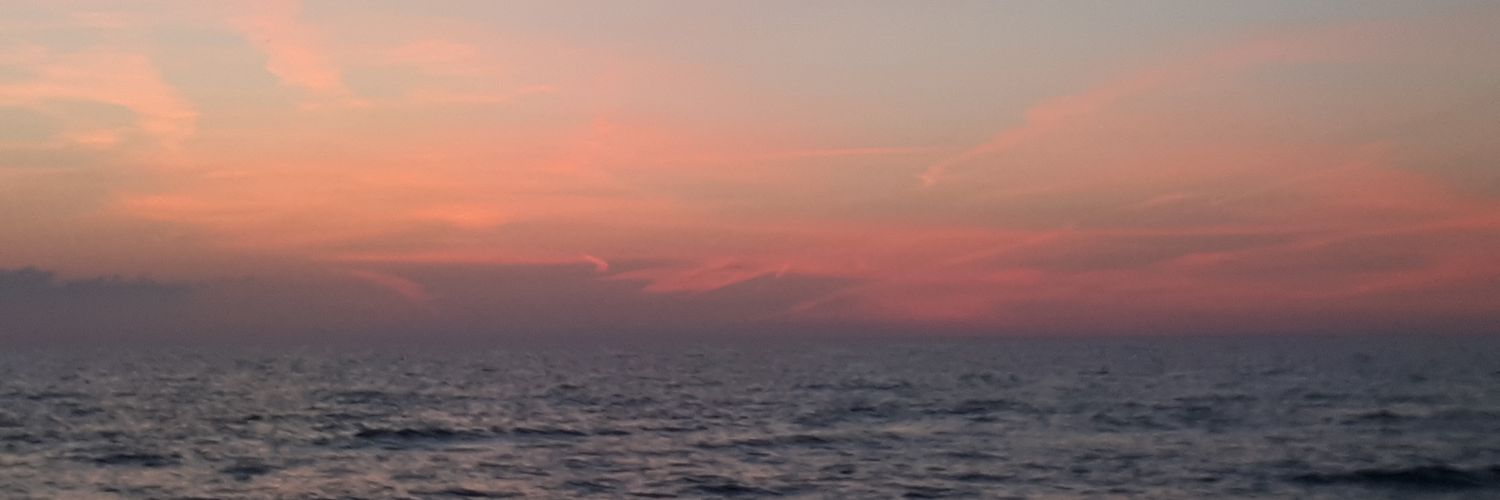 Karen Chcoski banner