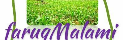 faruqAbdul's profile banner image