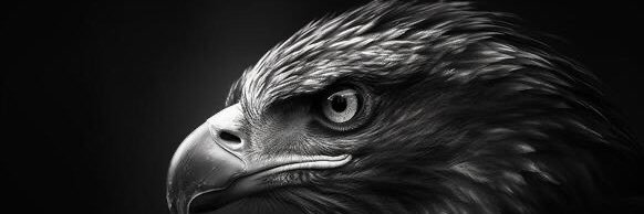 36saniye's profile banner image