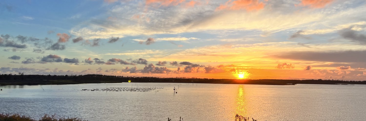 Dr Roberto J. Mera banner