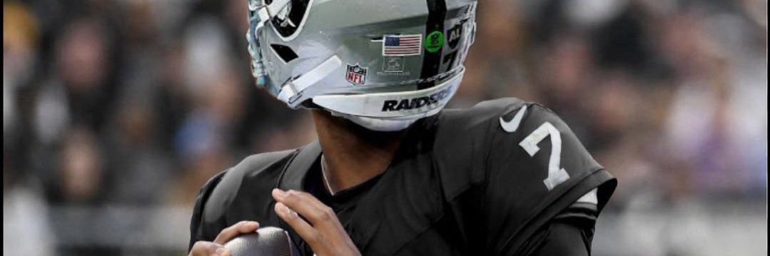 Seahawk Addict 🪶 banner