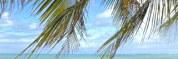 rosh2point0 Profile Banner