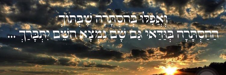 LUIZA ELIZAROV banner