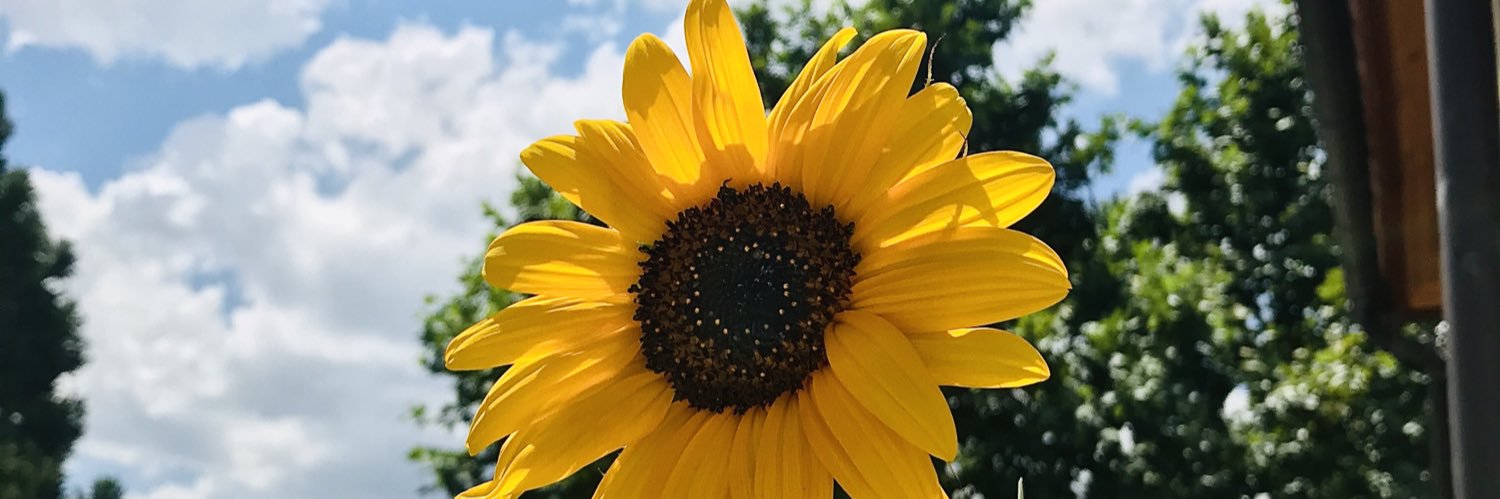 partimartin's profile banner image