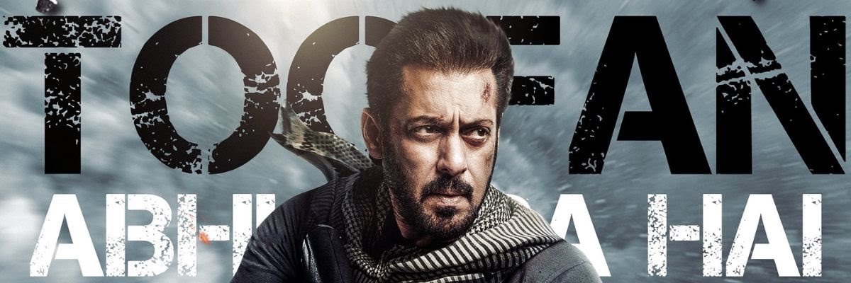 Team Salman Fan banner