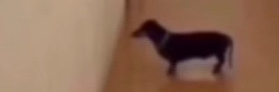 Linel Hound🏳️‍⚧️ banner