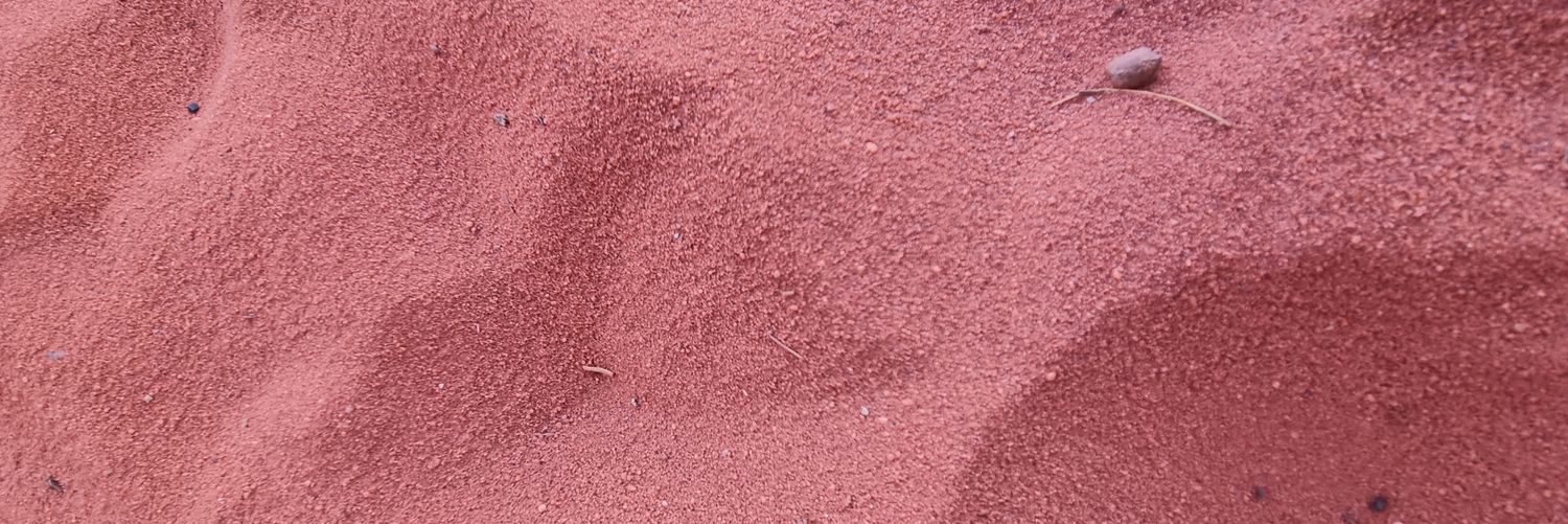 Travelling Trotty banner