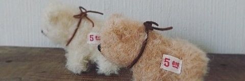 tonsbear_bird's profile banner image