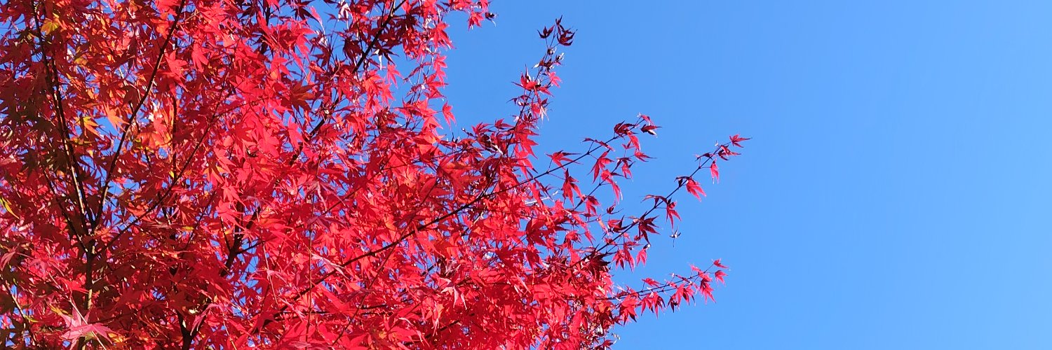 こはるび banner