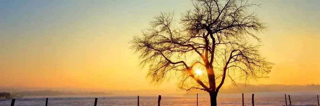 SANGEETA VERMA banner