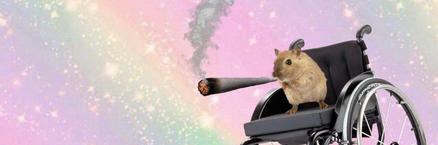 HarrietMaxwellx's profile banner image
