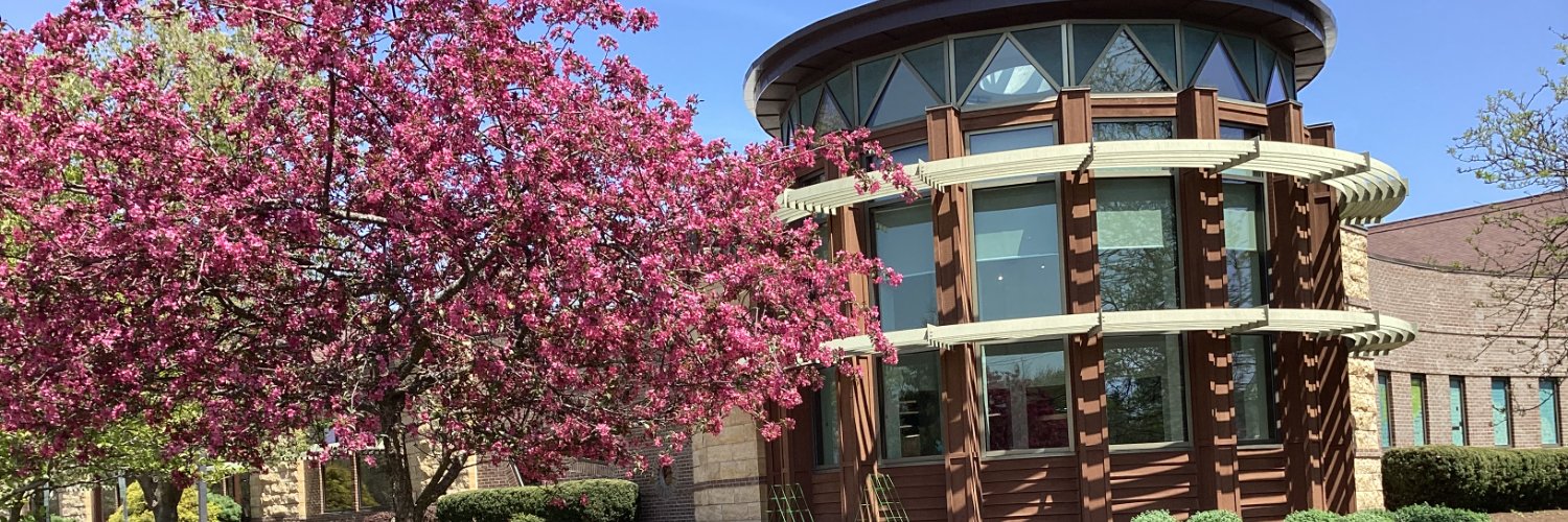 Woodstock IL Library banner